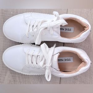 Steve Madden Toliver Sneakers